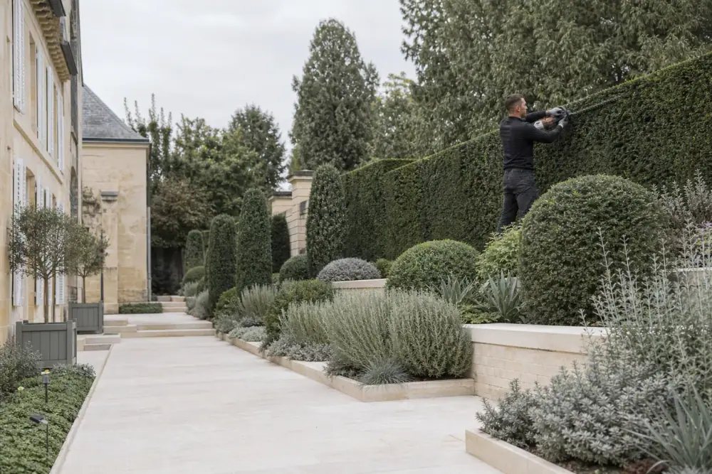 Jardinier professionnel taillant le dessus d'une haie avec un taille-haies thermique, allée propre et déchets de coupe déjà ramassés.